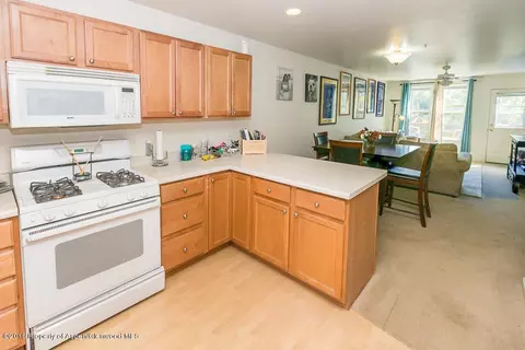 205 Lakeside Court Basalt Co 81621 Ct, Basalt, CO 81621 photo 5