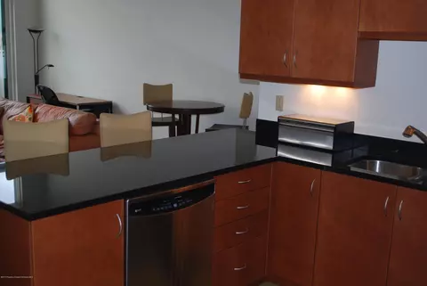 361 Robinson Street Apt 310 Basalt Co 81621 St # 310, Basalt, CO 81621 photo 5