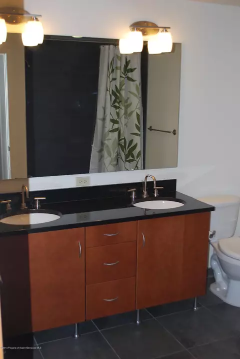 361 Robinson Street Apt 310 Basalt Co 81621 St # 310, Basalt, CO 81621 photo 6