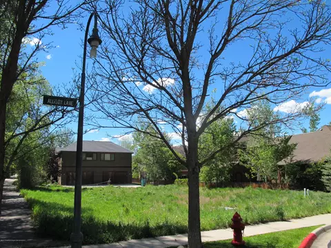 336 Allison Lane Basalt Co 81621 Ln, Basalt, CO 81621 photo 4