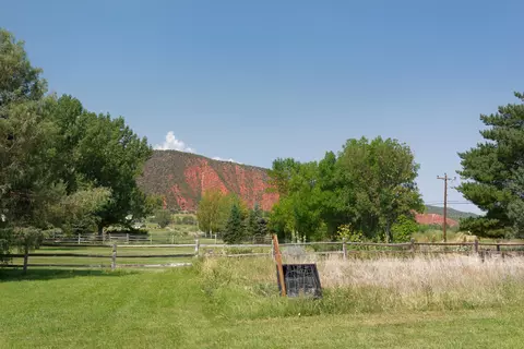 29 Plum Street Basalt Co 81621 St, Basalt, CO 81621 photo 14