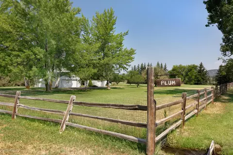 29 Plum Street Basalt Co 81621 St, Basalt, CO 81621 photo 16