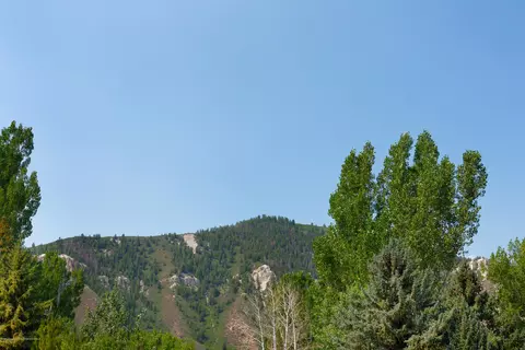 29 Plum Street Basalt Co 81621 St, Basalt, CO 81621 photo 17
