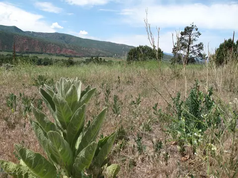 20317 Hwy 82 Basalt Co 81621, Basalt, CO 81621 photo 4