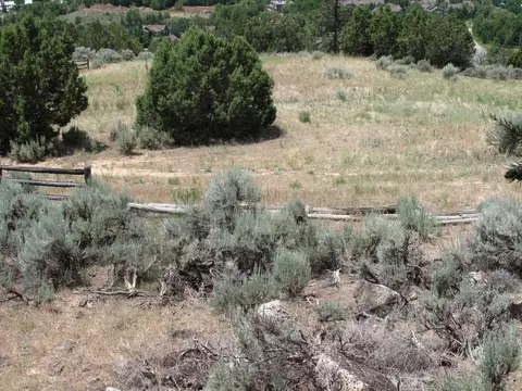 20317 Hwy 82 Basalt Co 81621, Basalt, CO 81621 photo 13