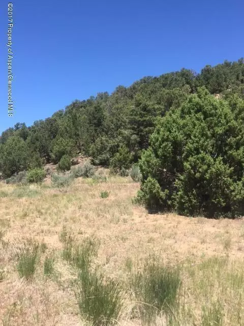 20317 Hwy 82 Basalt Co 81621, Basalt, CO 81621 photo 7