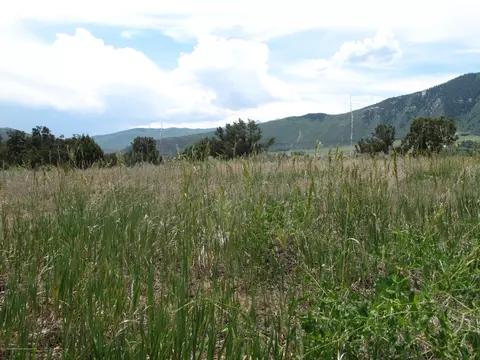 20317 Hwy 82 Basalt Co 81621, Basalt, CO 81621 photo 3