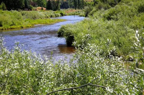 106 Castle View Drive Basalt Co 81621 Dr, Basalt, CO 81621 photo 5