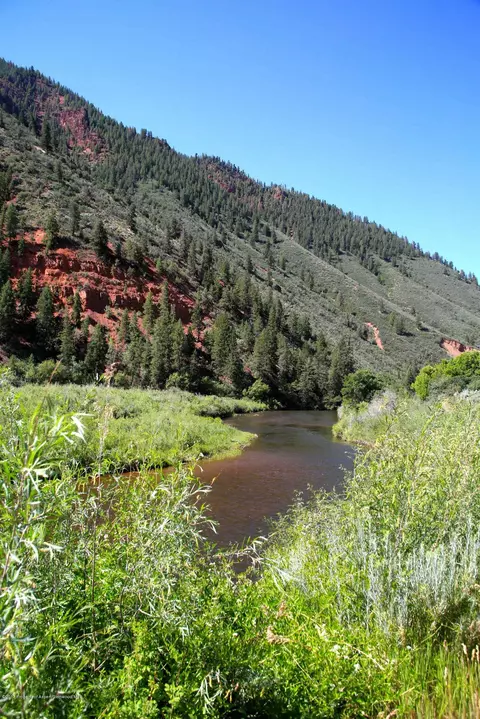 106 Castle View Drive Basalt Co 81621 Dr, Basalt, CO 81621 photo 17