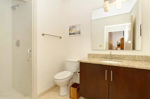 361 Robinson Street 334 Basalt Co 81621 St #334, Basalt, CO 81621 photo 9