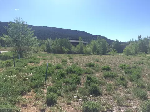 0106 Valley Court Basalt Co 81621 Ct, Basalt, CO 81621 photo 7