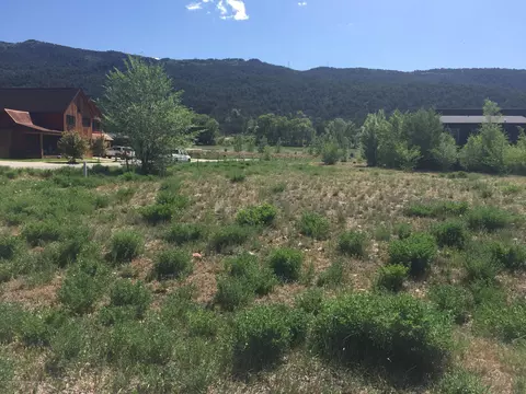 0106 Valley Court Basalt Co 81621 Ct, Basalt, CO 81621 photo 1
