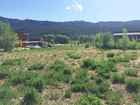 0106 Valley Court Basalt Co 81621 Ct, Basalt, CO 81621 photo 9