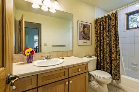 351 Branding Way Basalt Co 81621 Way, Basalt, CO 81621 photo 11