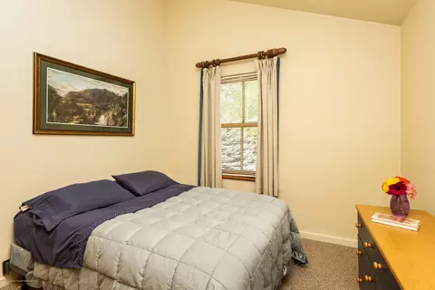 351 Branding Way Basalt Co 81621 Way, Basalt, CO 81621 photo 10