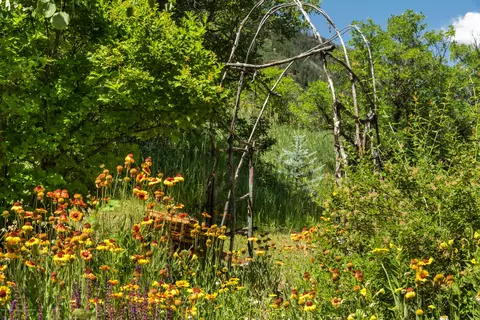 207 Oak Road Basalt Co 81621 Rd, Basalt, CO 81621 photo 27