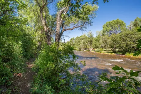 220 Riverside Drive Basalt Co 81621 Dr, Basalt, CO 81621 photo 9