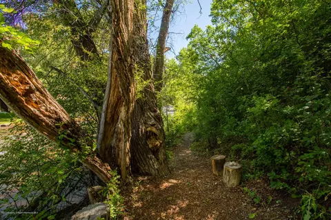 220 Riverside Drive Basalt Co 81621 Dr, Basalt, CO 81621 photo 8