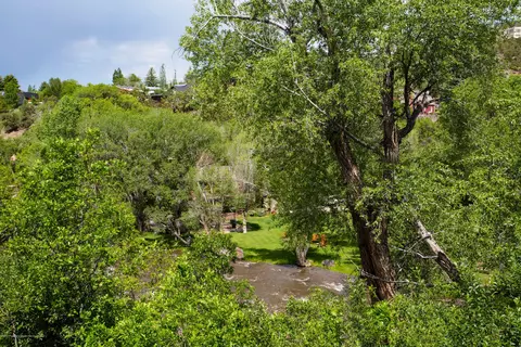 220 Riverside Drive Basalt Co 81621 Dr, Basalt, CO 81621 photo 21