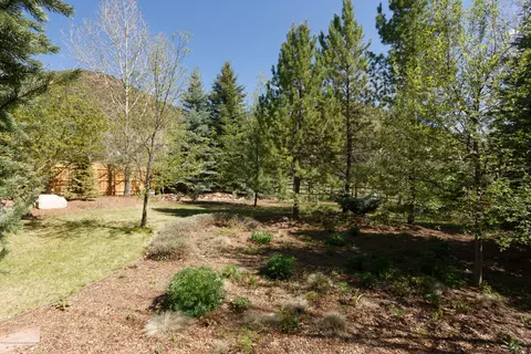 295 Riverside Drive Basalt Co 81621 Dr, Basalt, CO 81621 photo 23