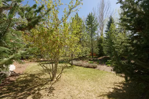295 Riverside Drive Basalt Co 81621 Dr, Basalt, CO 81621 photo 25