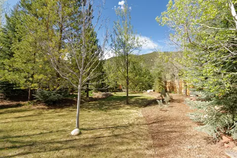 295 Riverside Drive Basalt Co 81621 Dr, Basalt, CO 81621 photo 26