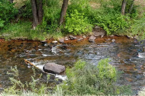 635 E Sopris Drive Basalt Co 81621 Dr, Basalt, CO 81621 photo 23