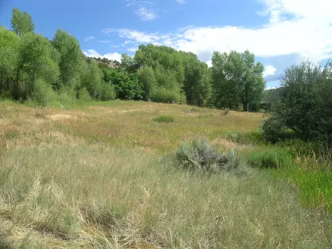 621 W Sopris Creek Basalt Co 81621, Basalt, CO 81621 photo 1