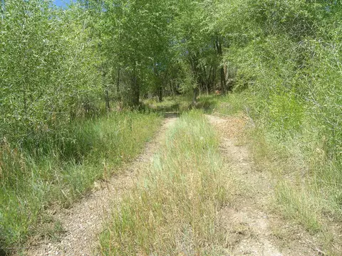 621 W Sopris Creek Basalt Co 81621, Basalt, CO 81621 photo 15