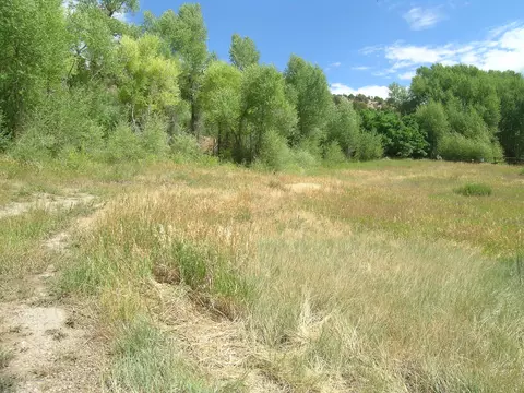 621 W Sopris Creek Basalt Co 81621, Basalt, CO 81621 photo 6