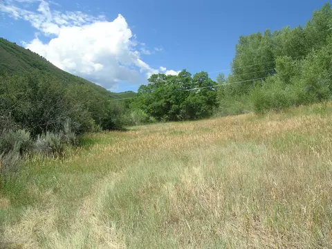 621 W Sopris Creek Basalt Co 81621, Basalt, CO 81621 photo 11
