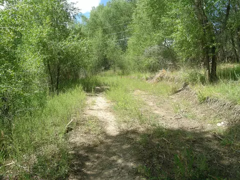 621 W Sopris Creek Basalt Co 81621, Basalt, CO 81621 photo 16