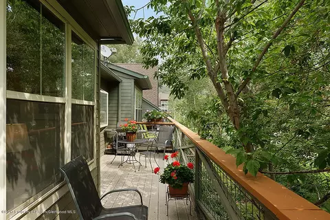 714 Evans Court Basalt Co 81621 Ct, Basalt, CO 81621 photo 11