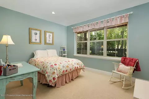 714 Evans Court Basalt Co 81621 Ct, Basalt, CO 81621 photo 7