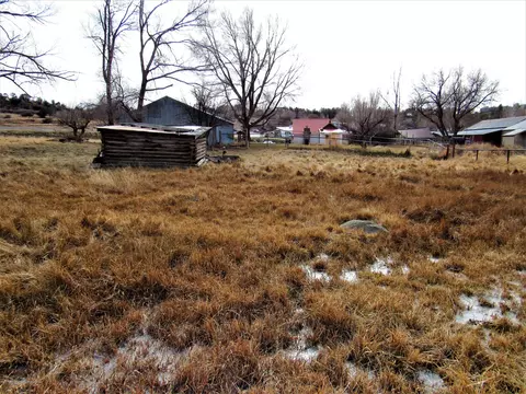 58840 Spring Street Collbran Co 81624 St, Collbran, CO 81624 photo 18
