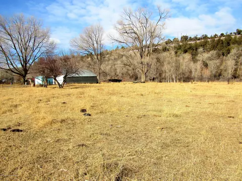 58840 Spring Street Collbran Co 81624 St, Collbran, CO 81624 photo 24