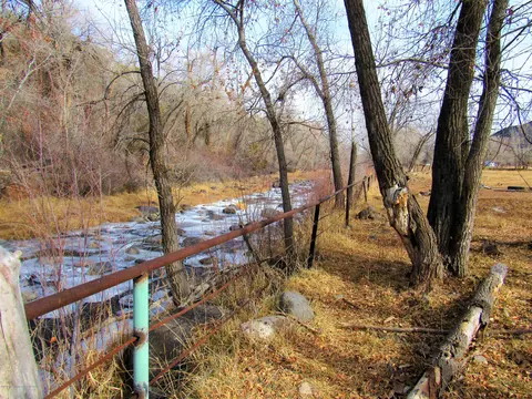 58840 Spring Street Collbran Co 81624 St, Collbran, CO 81624 photo 19