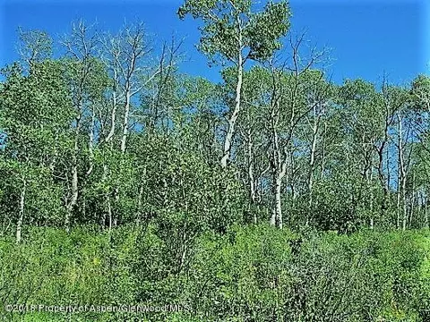 692 Treemoss Craig Co 81625, Craig, CO 81625 photo 2