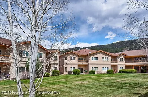 1400 E Valley Road 202 Basalt Co 81621 Rd #202, Basalt, CO 81621 photo 14