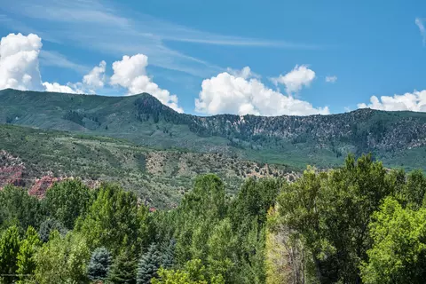 361 Robinson Street 202 Basalt Co 81621 St #202, Basalt, CO 81621 photo 27