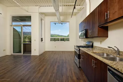 361 Robinson Street 202 Basalt Co 81621 St #202, Basalt, CO 81621 photo 7
