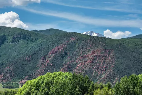 361 Robinson Street 202 Basalt Co 81621 St #202, Basalt, CO 81621 photo 28