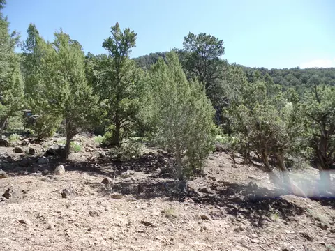 759 Hillcrest Drive Basalt Co 81621 Dr, Basalt, CO 81621 photo 9