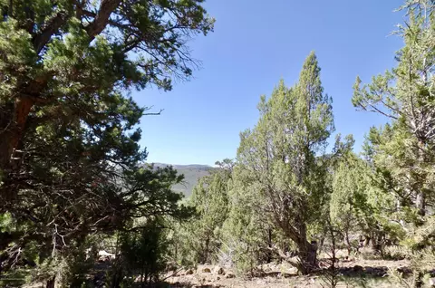 759 Hillcrest Drive Basalt Co 81621 Dr, Basalt, CO 81621 photo 14