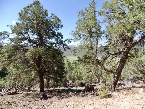759 Hillcrest Drive Basalt Co 81621 Dr, Basalt, CO 81621 photo 11