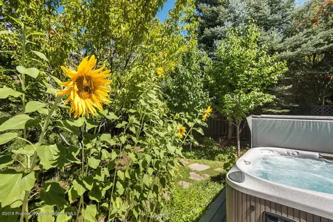 370 Riverside Drive Basalt Co 81621 Dr, Basalt, CO 81621 photo 6