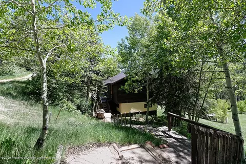 533 Mclaughlin Lane Basalt Co 81621 Ln, Basalt, CO 81621 photo 9