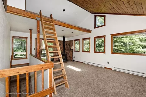533 Mclaughlin Lane Basalt Co 81621 Ln, Basalt, CO 81621 photo 16