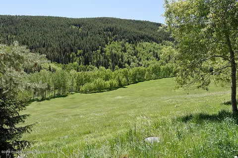 533 Mclaughlin Lane Basalt Co 81621 Ln, Basalt, CO 81621 photo 29