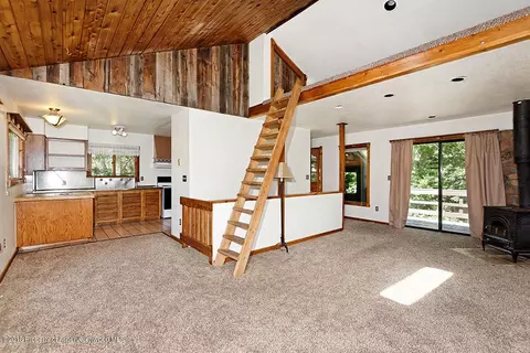 533 Mclaughlin Lane Basalt Co 81621 Ln, Basalt, CO 81621 photo 17